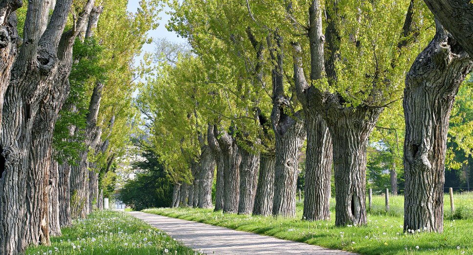 Hohenheimer Garden, Germany